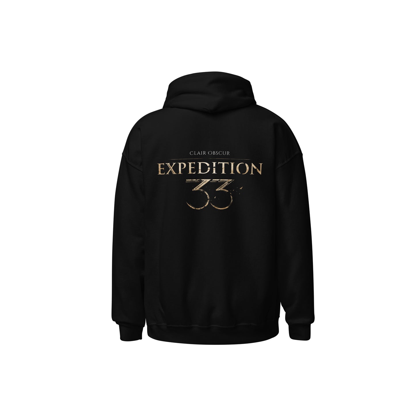 Expedition 33 - Expedition - Hoodie